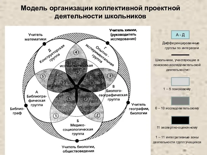 Модель организации коллективной проектной деятельности школьников Дифференцированные группы по интересам Школьники,