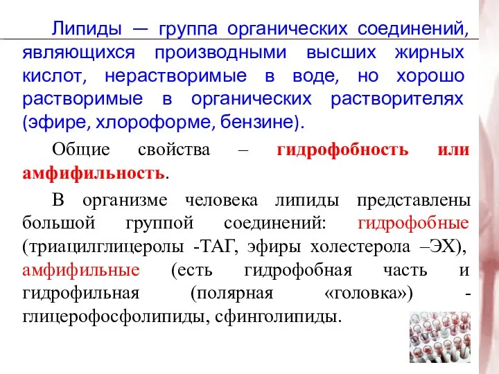 Липиды — группа органических соединений, являющихся производными высших жирных кислот, нерастворимые