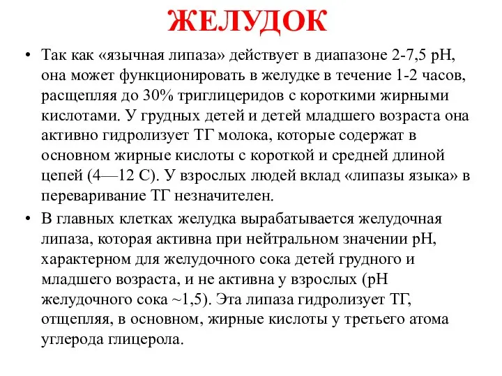 ЖЕЛУДОК Так как «язычная липаза» действует в диапазоне 2-7,5 рН, она