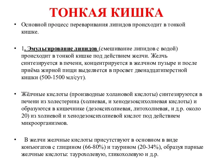 ТОНКАЯ КИШКА Основной процесс переваривания липидов происходит в тонкой кишке. 1.