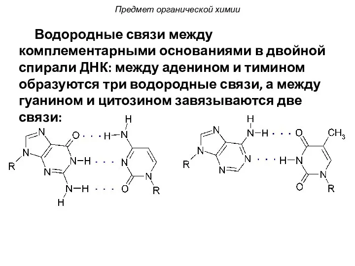 Водородные связи между комплементарными основаниями в двойной спирали ДНК: между аденином