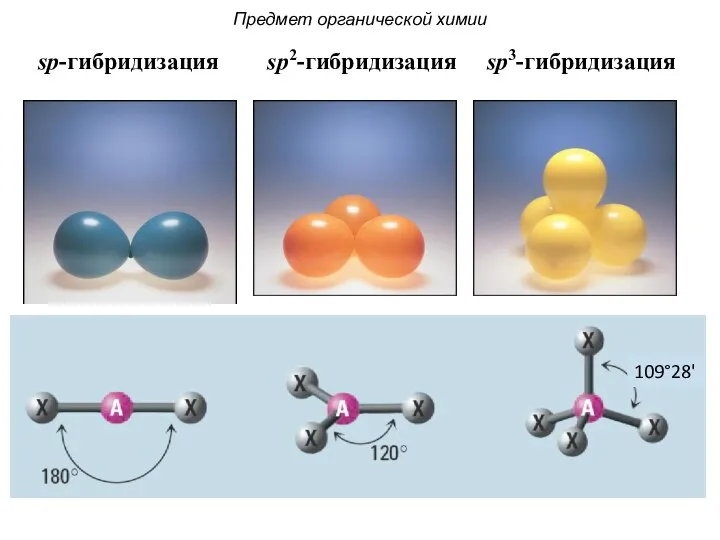 Предмет органической химии sp-гибридизация sp2-гибридизация sp3-гибридизация 109°28'