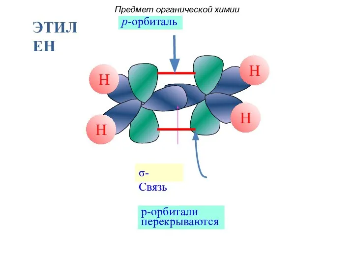 p-орбиталь σ- Связь p-орбитали перекрываются Предмет органической химии ЭТИЛЕН