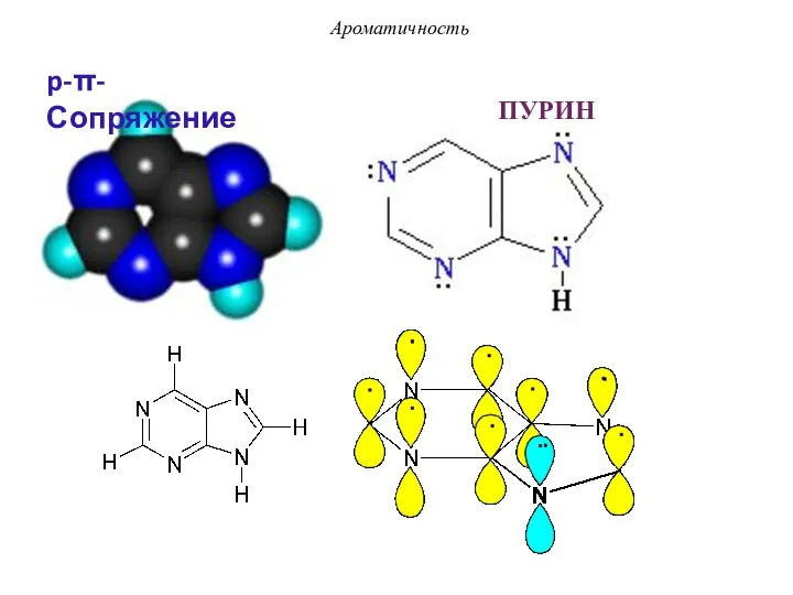 ПУРИН Ароматичность p-π-Сопряжение