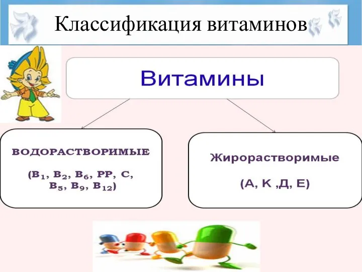 Классификация витаминов