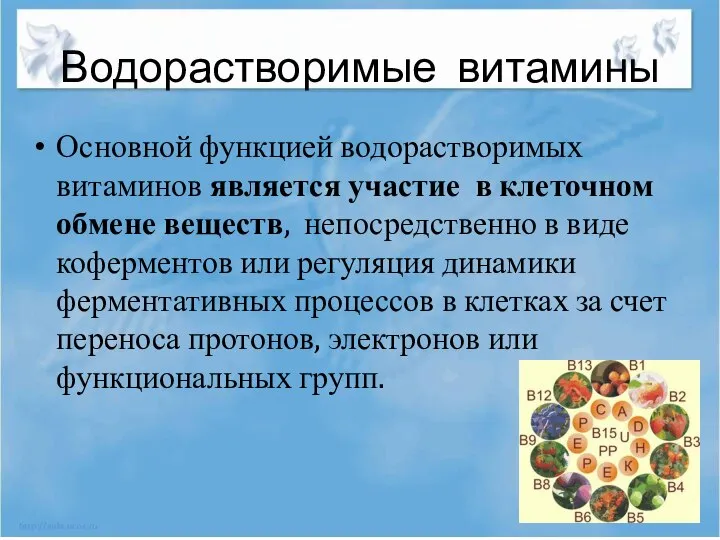 Водорастворимые витамины Основной функцией водорастворимых витаминов является участие в клеточном обмене