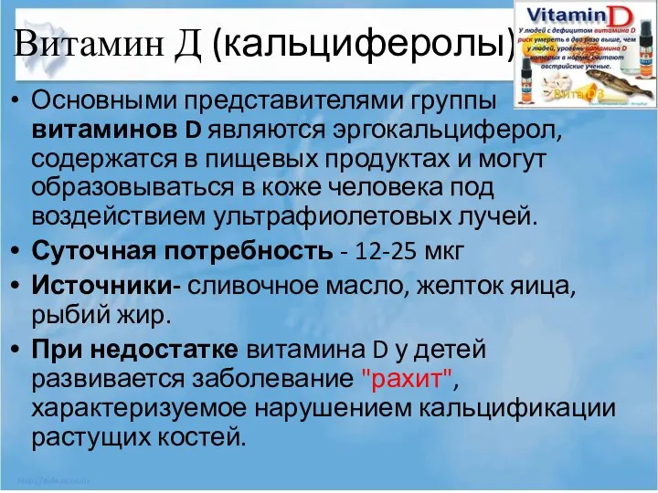 Витамин Д (кальциферолы) Основными представителями группы витаминов D являются эргокальциферол, содержатся