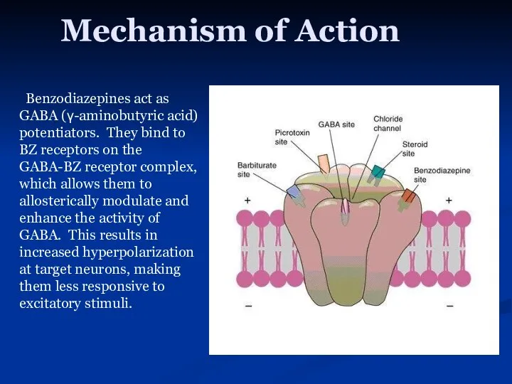 Mechanism of Action Benzodiazepines act as GABA (γ-aminobutyric acid) potentiators. They