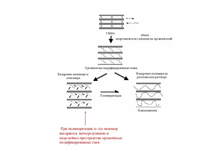При полимеризации in situ мономер внедряется непосредственно в межслойное пространство органически модифицированных глин