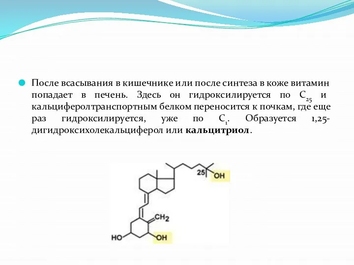 После всасывания в кишечнике или после синтеза в коже витамин попадает