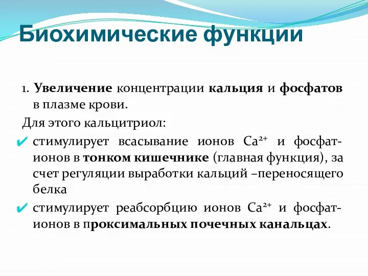 Биохимические функции 1. Увеличение концентрации кальция и фосфатов в плазме крови.