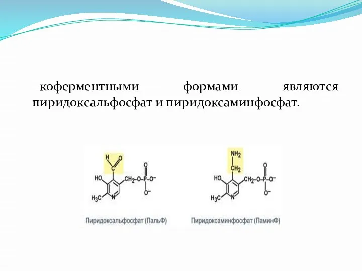 коферментными формами являются пиридоксальфосфат и пиридоксаминфосфат.