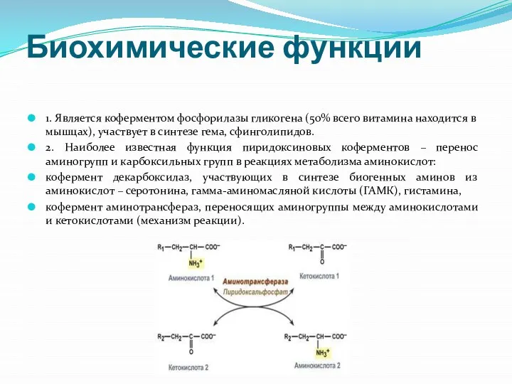 Биохимические функции 1. Является коферментом фосфорилазы гликогена (50% всего витамина находится