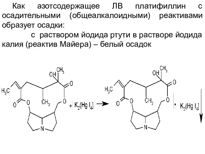 Как азотсодержащее ЛВ платифиллин с осадительными (общеалкалоидными) реактивами образует осадки: с