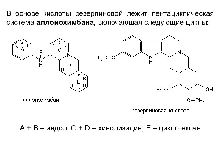 В основе кислоты резерпиновой лежит пентациклическая система аллоиохимбана, включающая следующие циклы: