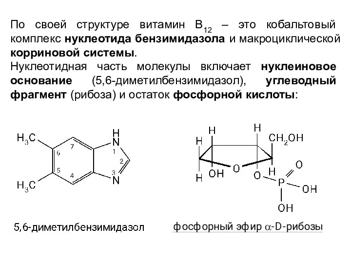 По своей структуре витамин В12 – это кобальтовый комплекс нуклеотида бензимидазола