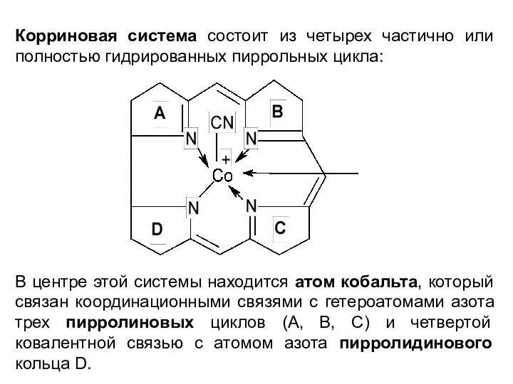 Корриновая система состоит из четырех частично или полностью гидрированных пиррольных цикла: