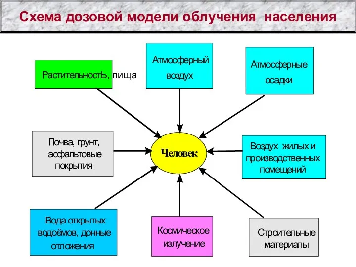 Схема дозовой модели облучения населения