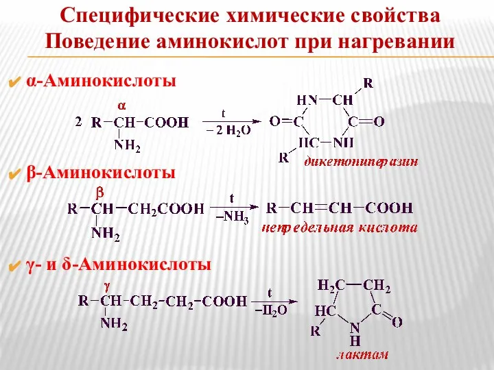 Специфические химические свойства Поведение аминокислот при нагревании α-Аминокислоты β-Аминокислоты γ- и δ-Аминокислоты