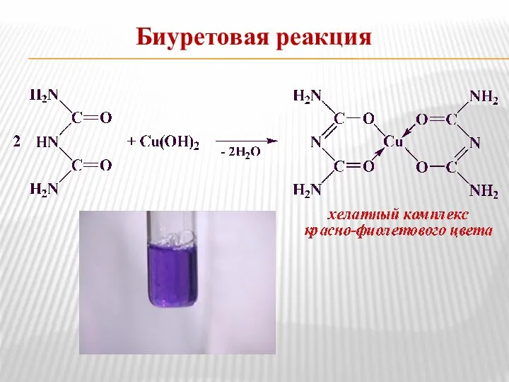 Биуретовая реакция