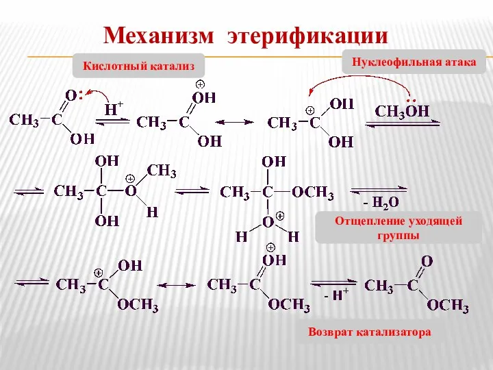 Механизм этерификации Кислотный катализ Нуклеофильная атака Возврат катализатора Отщепление уходящей группы