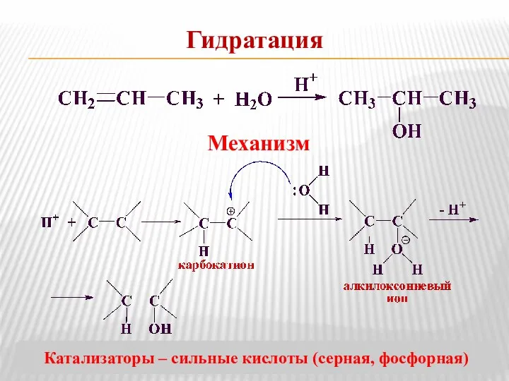Гидратация Механизм Катализаторы – сильные кислоты (серная, фосфорная)