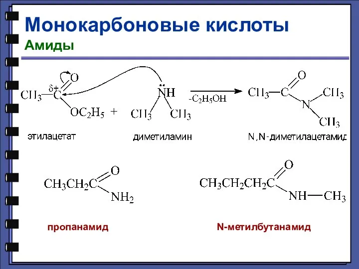 Монокарбоновые кислоты Амиды N-метилбутанамид пропанамид