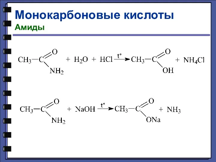 Монокарбоновые кислоты Амиды