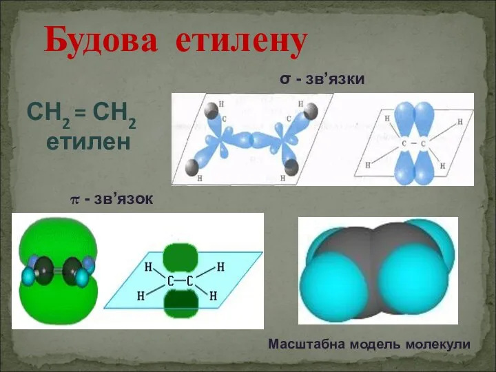 Будова етилену СН2 = СН2 етилен σ - зв’язки π - зв’язок Масштабна модель молекули