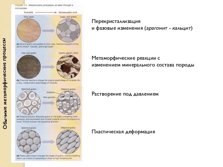 Обычные метаморфические процессы Перекристаллизация и фазовые изменения (арагонит - кальцит) Метаморфические