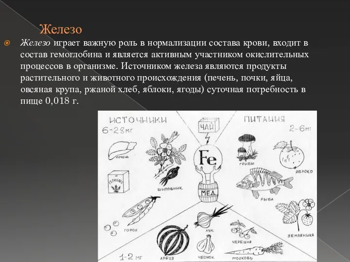 Железо Железо играет важную роль в нормализации состава крови, входит в