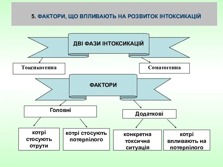 5. ФАКТОРИ, ЩО ВПЛИВАЮТЬ НА РОЗВИТОК ІНТОКСИКАЦІЙ Токсикогенна Соматогенна Головні котрі