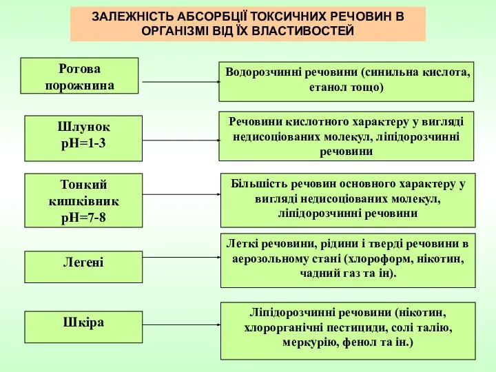 ЗАЛЕЖНІСТЬ АБСОРБЦІЇ ТОКСИЧНИХ РЕЧОВИН В ОРГАНІЗМІ ВІД ЇХ ВЛАСТИВОСТЕЙ Тонкий кишківник