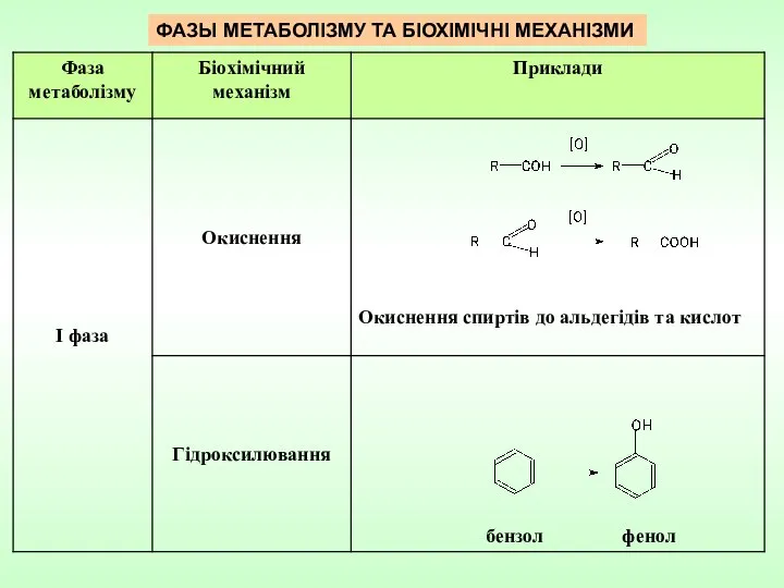 ФАЗЫ МЕТАБОЛІЗМУ ТА БІОХІМІЧНІ МЕХАНІЗМИ