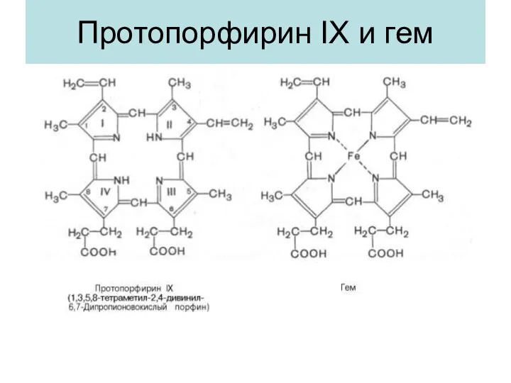 Протопорфирин IX и гем