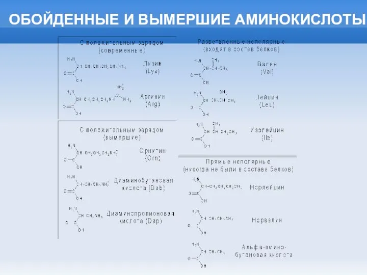 ОБОЙДЕННЫЕ И ВЫМЕРШИЕ АМИНОКИСЛОТЫ