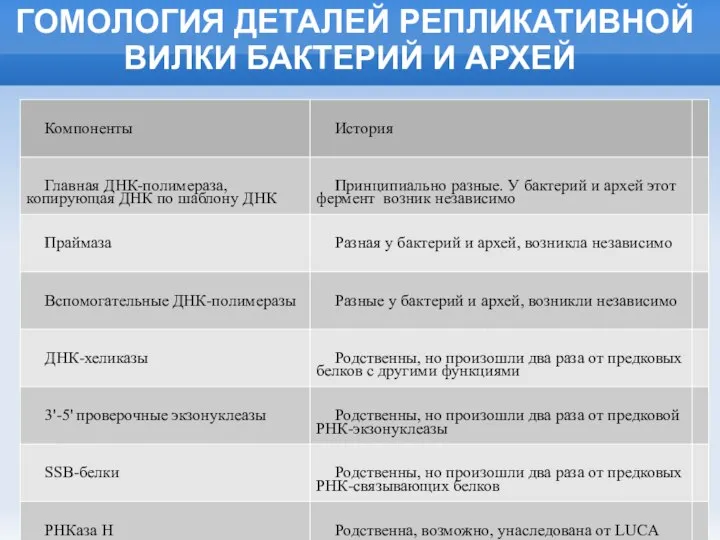 ГОМОЛОГИЯ ДЕТАЛЕЙ РЕПЛИКАТИВНОЙ ВИЛКИ БАКТЕРИЙ И АРХЕЙ У бактерий и архей