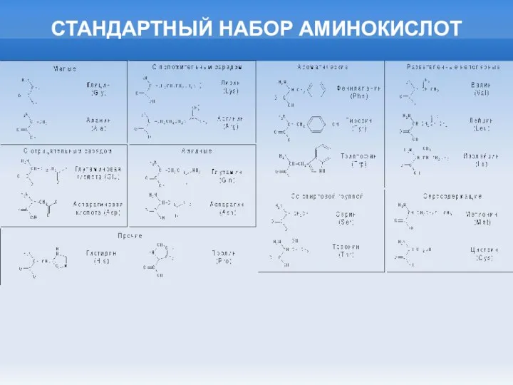 СТАНДАРТНЫЙ НАБОР АМИНОКИСЛОТ