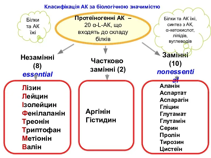 Протеїногенні АК – 20 α-L-АК, що входять до складу білків Незамінні