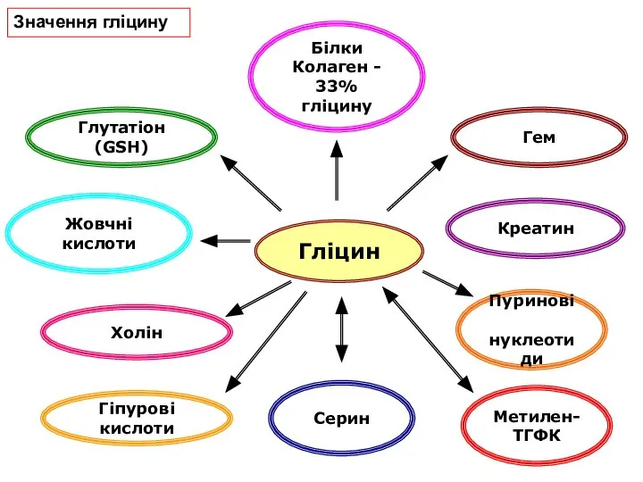 Гліцин Серин Білки Колаген - 33% гліцину Глутатіон (GSH) Холін Жовчні