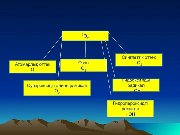 · 3О2 Атомарлық оттек О Озон О3 Синглеттік оттек 1О2 Супероксидті