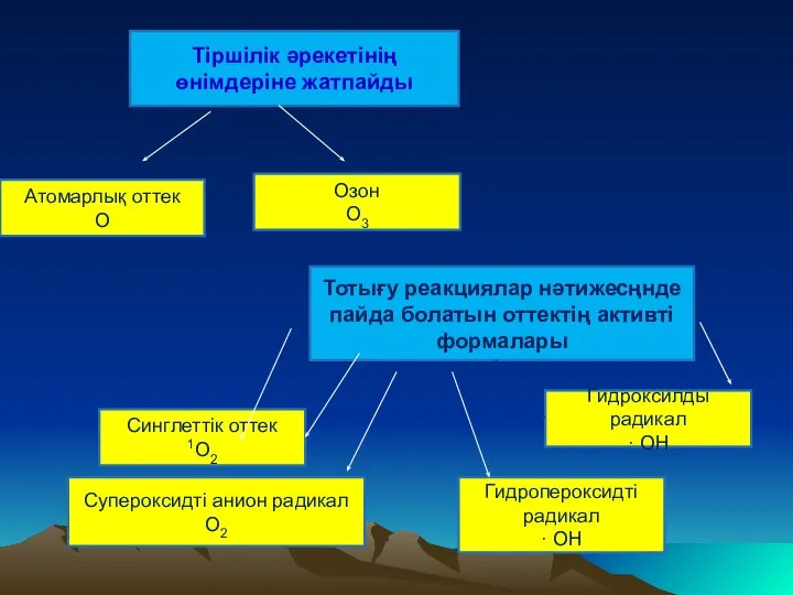 Тiршiлiк әрекетiнiң өнiмдерiне жатпайды Атомарлық оттек О Озон О3 Супероксидті анион