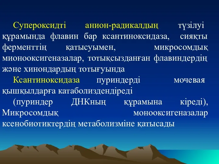 Cупероксидті анион-радикалдың түзілуі құрамында флавин бар ксантиноксидаза, сияқты ферменттің қатысуымен, микросомдық