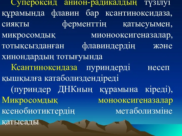 Cупероксид анион-радикалдың түзілуі құрамында флавин бар ксантиноксидаза, сияқты ферменттің қатысуымен, микросомдық