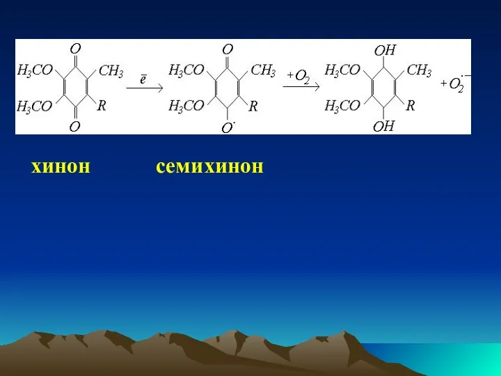 хинон семихинон