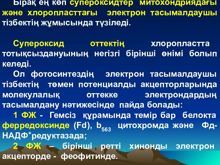 Бірақ ең көп супероксидтер митохондриядағы және хлоропласттағы электрон тасымалдаушы тізбектің жұмысында