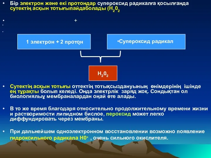 Бір электрон және екі протондар супероксид радикалға қосылғанда сутектің асқын тотығыпайдаболады