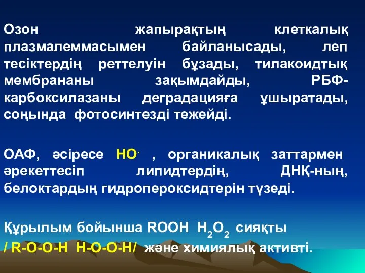 Озон жапырақтың клеткалық плазмалеммасымен байланысады, леп тесіктердің реттелуін бұзады, тилакоидтық мембрананы