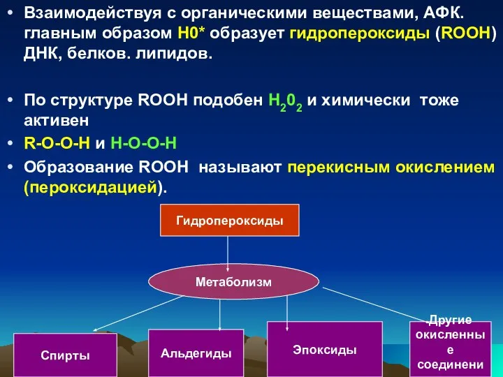 Взаимодействуя с органическими веществами, АФК. главным образом Н0* образует гидропероксиды (RООН)