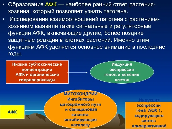 Образование АФК — наиболее ранний ответ растения-хозяина, который позволяет узнать патогена.